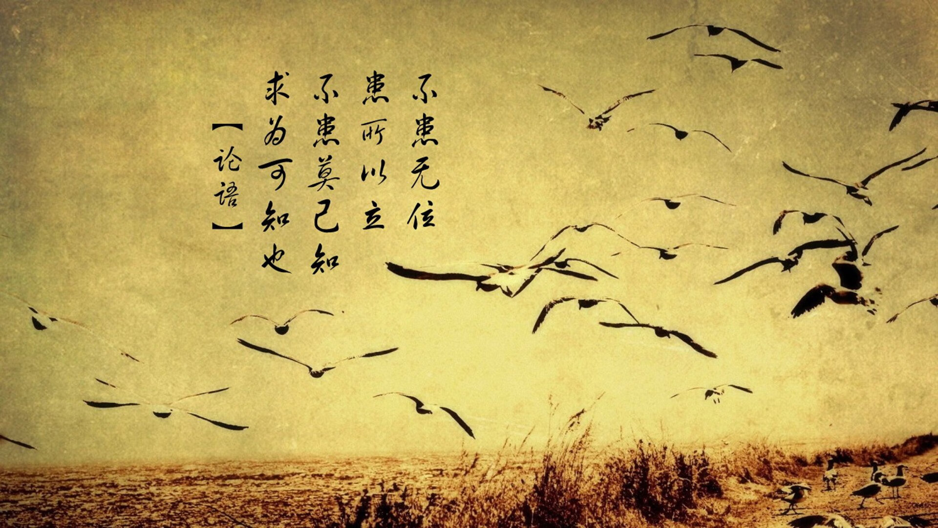 华体会官网-奇才新王爱德华兹完爆灰熊，完美一役宣告联盟新秩序  第1张